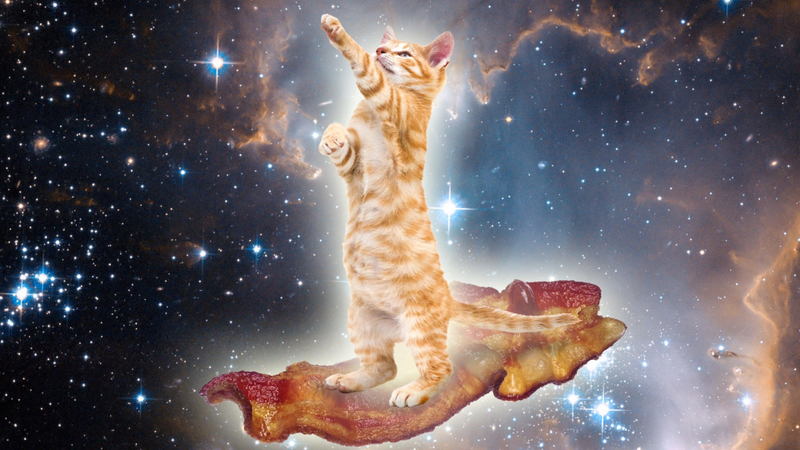 Illustration for article titled My God, It's Full Of Cats! The Very Best Artwork Of Cats In Space